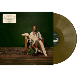 Doechii - Alligator Bites Never Heal (Translucent Hazel Vinyl) i gruppen VINYL / Nyheter / Hip Hop-Rap hos Bengans Skivbutik AB (5574644)