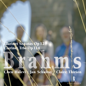 Brahms - Clarinet Sonatas Op. 120, Clarinet i gruppen VI TIPSER / Julegavetips CD hos Bengans Skivbutik AB (5575021)