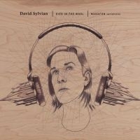 David Sylvian - Died In The Wool - Manafon Variatio i gruppen VI TIPSER / Fredagsutgivelser / 2025-01-31 hos Bengans Skivbutik AB (5575273)