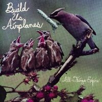 Build Us Airplanes - All Things Expire i gruppen VINYL / Kommende / Pop-Rock hos Bengans Skivbutik AB (5576415)