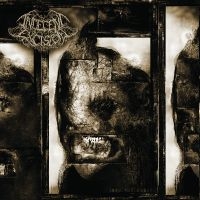 Indecent Excision - Into The Absurd i gruppen CD / Kommende / Metal hos Bengans Skivbutik AB (5576491)