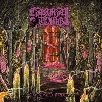 Carnal Tomb - Embalmed In Decay i gruppen CD / Kommende / Metal hos Bengans Skivbutik AB (5576721)