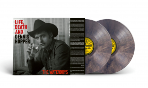 The Waterboys - Life, Death & Dennis Hopper (Psychedelic Waves Colored 2Lp) i gruppen VINYL / Kommende / Pop-Rock hos Bengans Skivbutik AB (5578185)