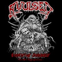 Avulsed - Vomiting Corpses - The 90S Regurgit i gruppen CD / Metal hos Bengans Skivbutik AB (5579138)