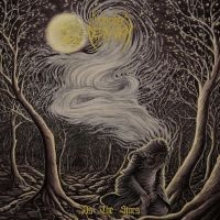 Woods Of Desolation - As The Stars (Digipack) i gruppen CD / Metal hos Bengans Skivbutik AB (5579384)