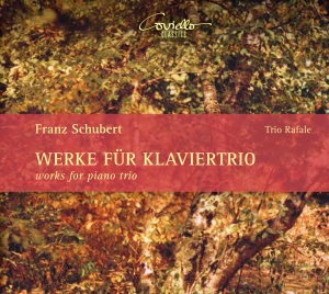 Franz Schubert - Works For Piano Trio i gruppen CD / Klassisk hos Bengans Skivbutik AB (5580506)