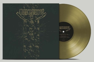 Metempsychosis - Metempsychosis (Gold Vinyl) - Rsd 2025 i gruppen VI TIPSER / Record Store Day / RSD 2025 hos Bengans Skivbutik AB (5582308)