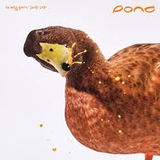 Pond - Early Years: 2008 - 2010 (180G/2Lp)  (Rsd2025) i gruppen VI TIPSER / Record Store Day / RSD 2025 hos Bengans Skivbutik AB (5582630)