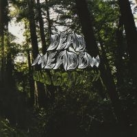 Dead Meadow - Old Growth (2 Lp Neon Green Vinyl) i gruppen VI TIPSER / Fredagsutgivelser / 2025-03-21 hos Bengans Skivbutik AB (5584033)