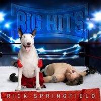 Rick Springfield - Big Hits: Rick Springfield's Greate i gruppen CD / Kommende / Pop-Rock hos Bengans Skivbutik AB (5584159)