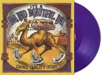 Its A Beautiful Day - Choice Quality Stuff (Purple Vinyl i gruppen VINYL / Kommende / Pop-Rock hos Bengans Skivbutik AB (5584479)