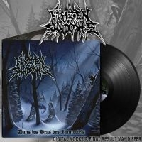 Frozen Shadows - Dans Les Bras Des Immortels (Black i gruppen VINYL / Kommende / Metal hos Bengans Skivbutik AB (5587429)