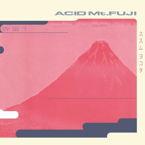 Susumu Yokota - Acid Mt. Fuji i gruppen Dance-Techno hos Bengans Skivbutik AB (5587624)