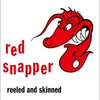 Red Snapper - Reeled And Skinned (30Th Anniversar i gruppen VINYL / Kommende / Pop-Rock hos Bengans Skivbutik AB (5588091)