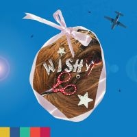 Wishy - Paradise On Planet Popstar i gruppen VINYL / Kommende / Pop-Rock hos Bengans Skivbutik AB (5588146)