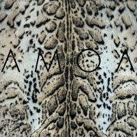 Amoa - I'll Be Kind i gruppen VINYL / Kommende / Pop-Rock hos Bengans Skivbutik AB (5589105)