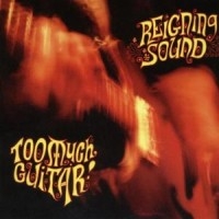 Reigning Sound - Too Much Guitar i gruppen VI TIPSER / Julegavetips CD hos Bengans Skivbutik AB (558943)