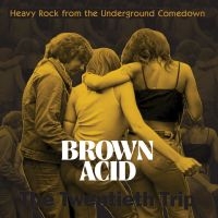 Various Artists - Brown Acid - The Twentieth Trip i gruppen VINYL / Kommende / Pop-Rock hos Bengans Skivbutik AB (5589497)