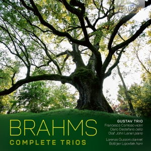 Johannes Brahms - Complete Trios i gruppen CD hos Bengans Skivbutik AB (5589862)