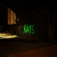 Rats - Rule The World i gruppen CD / Kommende / Pop-Rock hos Bengans Skivbutik AB (5590546)