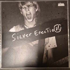 Silver Erection - Politics i gruppen VINYL / Nyheter / Punk hos Bengans Skivbutik AB (5590609)