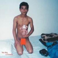 Xiu Xiu - A Promise i gruppen CD / Kommende / Pop-Rock hos Bengans Skivbutik AB (5590835)