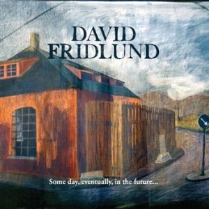 Fridlund David - Some Day, Eventually, In The Futu.. i gruppen CD / Pop-Rock,Svensk Musikkk hos Bengans Skivbutik AB (560564)