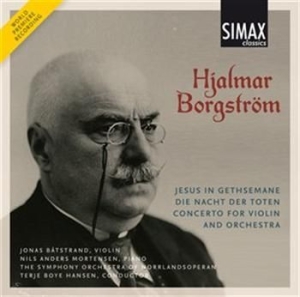 Borgström Hjalmar - Violin Concerto i gruppen CD / Klassisk hos Bengans Skivbutik AB (567558)