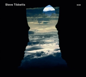 Steve Tibbetts Marc Anderson - Natural Causes i gruppen CD / Jazz hos Bengans Skivbutik AB (568273)