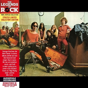 Flamin Groovies - Teenage Head i gruppen CD / Pop-Rock hos Bengans Skivbutik AB (568565)