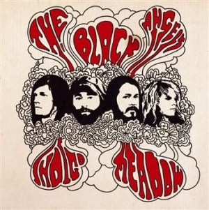 Black Angels - Indigo Meadow i gruppen CD / Rock hos Bengans Skivbutik AB (569717)