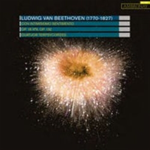 Beethoven - Con Intimissimo Sentimento i gruppen Externt_Lager / Naxoslager hos Bengans Skivbutik AB (572571)