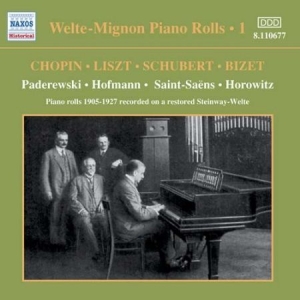 Various Artists - Welte-Mignon Vol 1 i gruppen CD / Klassisk hos Bengans Skivbutik AB (572953)