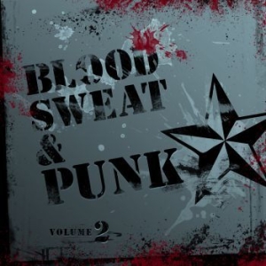 Various Artists - Blood, Sweat And Punk Volume 2 i gruppen CD hos Bengans Skivbutik AB (573880)