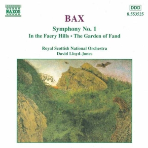 Bax Arnold - Symphony No 1 i gruppen VI TIPSER / Julegavetips CD hos Bengans Skivbutik AB (580571)