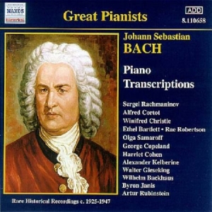 Bach Johann Sebastian - Piano Transcriptions i gruppen CD / Klassisk hos Bengans Skivbutik AB (580726)