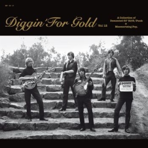 Various Artists - Diggin' For Gold Vol. 12 i gruppen VINYL / Pop-Rock hos Bengans Skivbutik AB (589775)