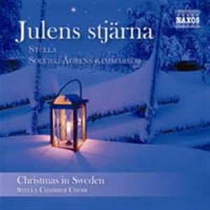 Various/ Stella - Julens Stjärna i gruppen CD / JuleMusikkk,Annet hos Bengans Skivbutik AB (596316)