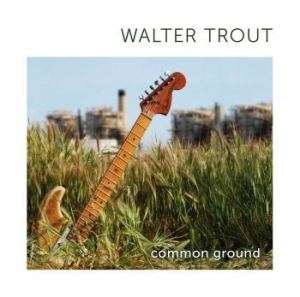 Trout Walter - Common Ground i gruppen CD hos Bengans Skivbutik AB (596529)