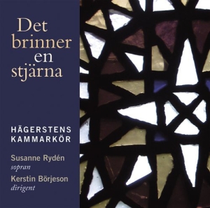 Hägerstens Kammarkör - Det Brinner En Stjärna i gruppen CD / JuleMusikkk,Annet hos Bengans Skivbutik AB (596986)