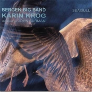 Krog Karin - Seagull i gruppen CD / Jazz,Norsk Musikkk hos Bengans Skivbutik AB (597390)