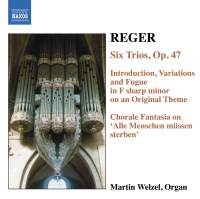 Reger Max - Organ Works Vol 6 i gruppen VI TIPSER / Julegavetips CD hos Bengans Skivbutik AB (598572)