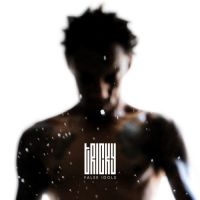 Tricky - False Idols i gruppen CD hos Bengans Skivbutik AB (602367)