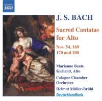 Bach - Alto Cantatas i gruppen VI TIPSER / Julegavetips CD hos Bengans Skivbutik AB (603063)