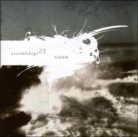 Assemblage 23 - Storm i gruppen CD / Pop-Rock hos Bengans Skivbutik AB (603524)