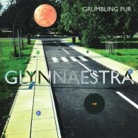 Grumbling Fur - Glynnaestra i gruppen VINYL / Pop-Rock hos Bengans Skivbutik AB (603842)