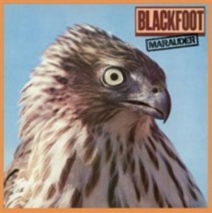 Blackfoot - Marauder i gruppen VI TIPSER / Klassiska lablar / Rock Candy hos Bengans Skivbutik AB (611530)