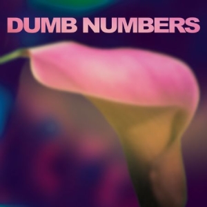 Dumb Numbers - Dumb Numbers i gruppen CD / Rock hos Bengans Skivbutik AB (611564)