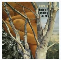 Papa M - Hole Of Burning Alms i gruppen CD / Pop-Rock hos Bengans Skivbutik AB (611701)