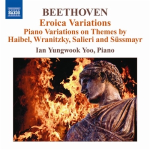 Beethoven - Piano Variations i gruppen VI TIPSER / Julegavetips CD hos Bengans Skivbutik AB (620656)